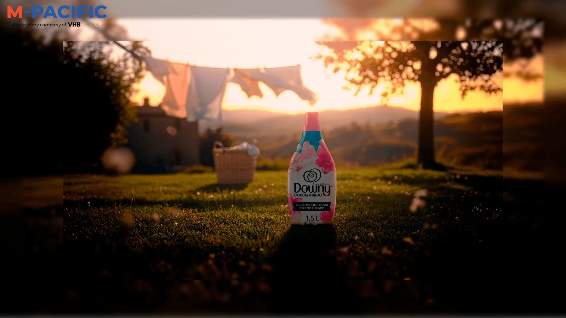 Downy Softener Distribute Channel