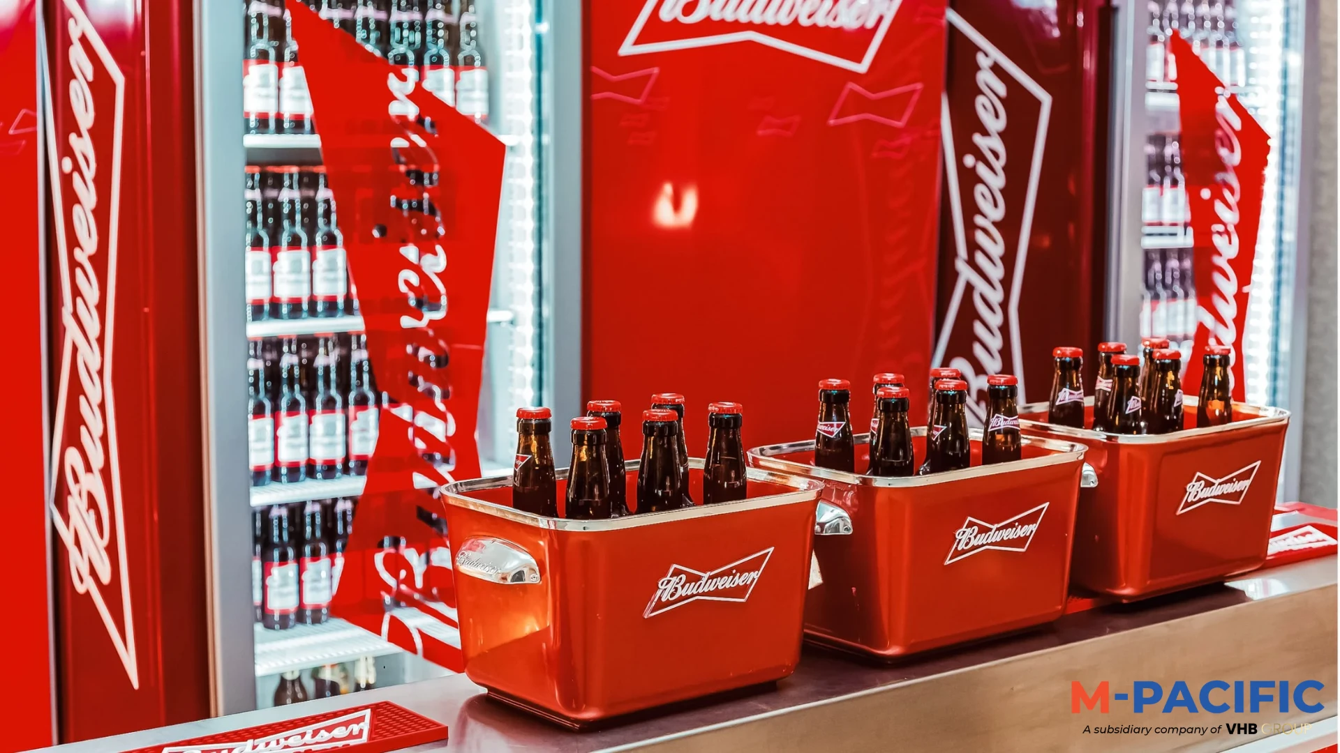 Bulk Budweiser Beer Origin