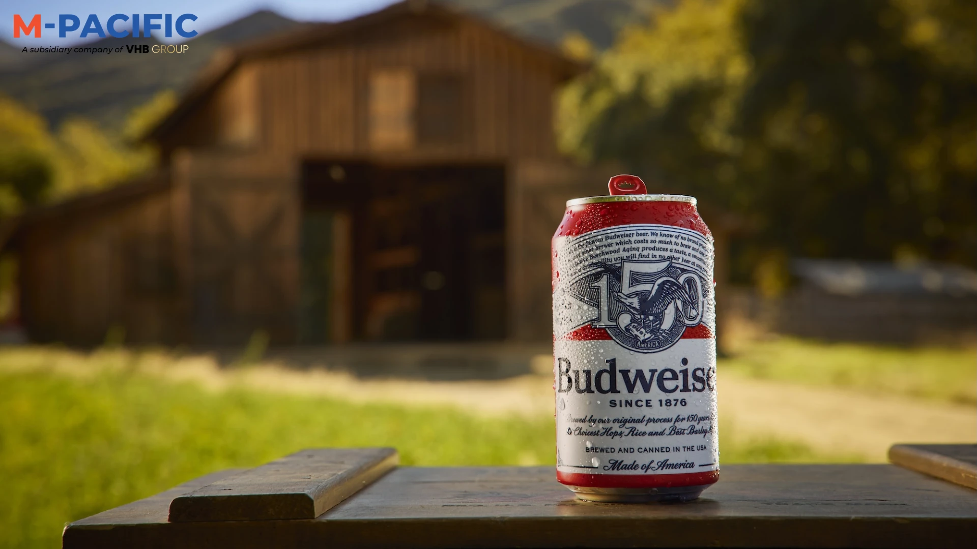 Bulk Budweiser Beer Facts and Logistics
