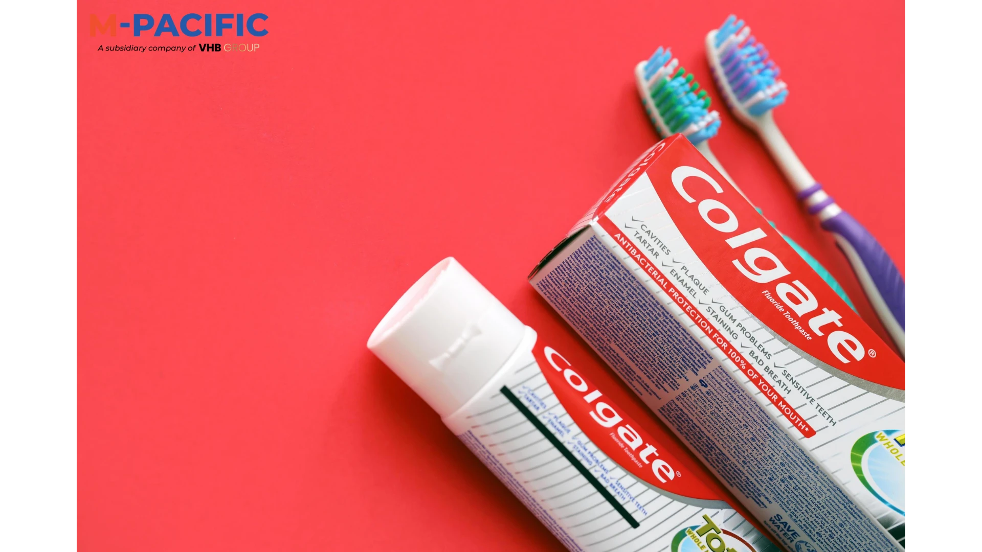 Colgate Toothpaste Bulk