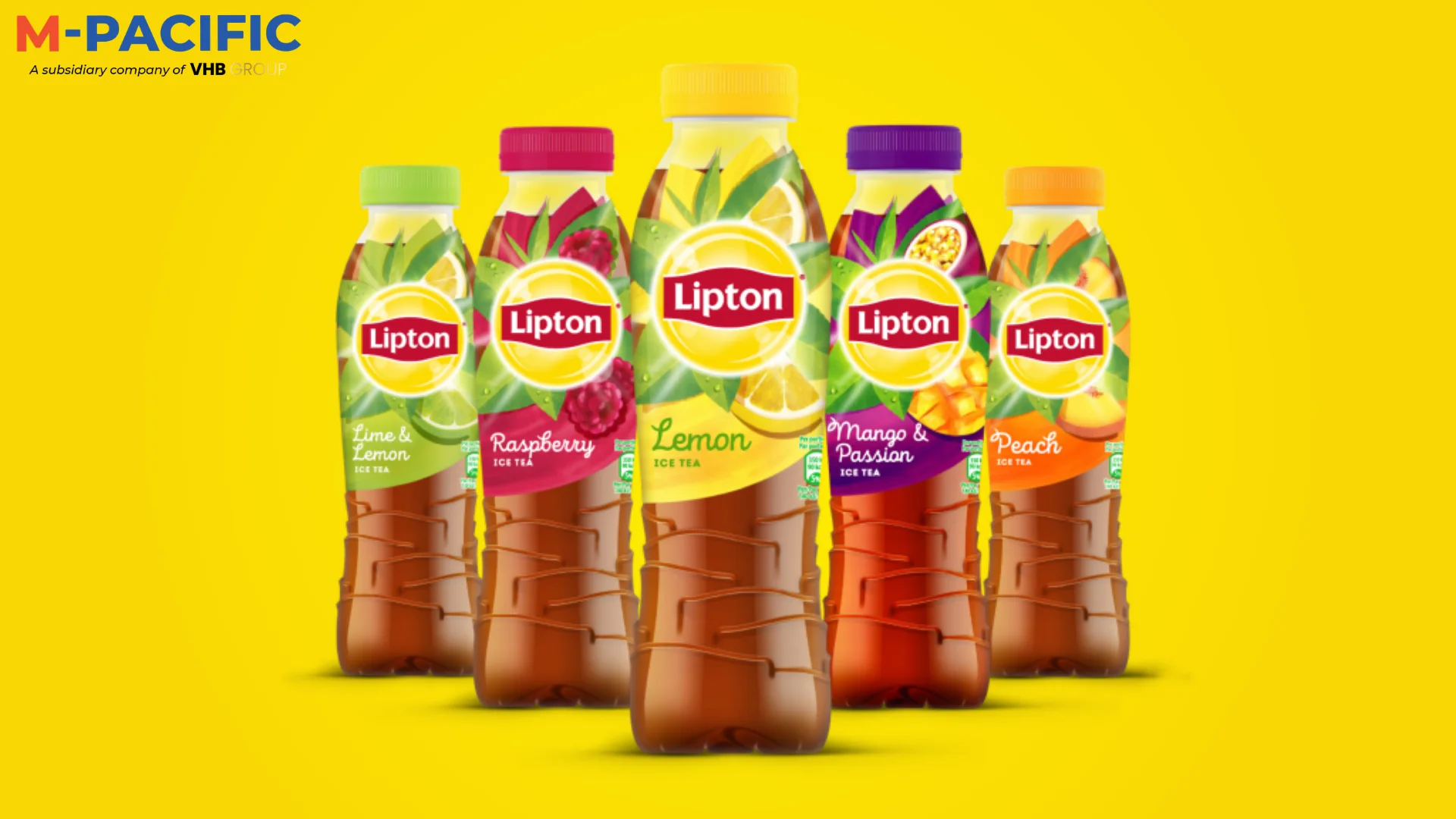 Bulk Lipton Tea Distribute Channel