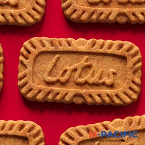 Bulk Lotus Biscoff Unique SKUs