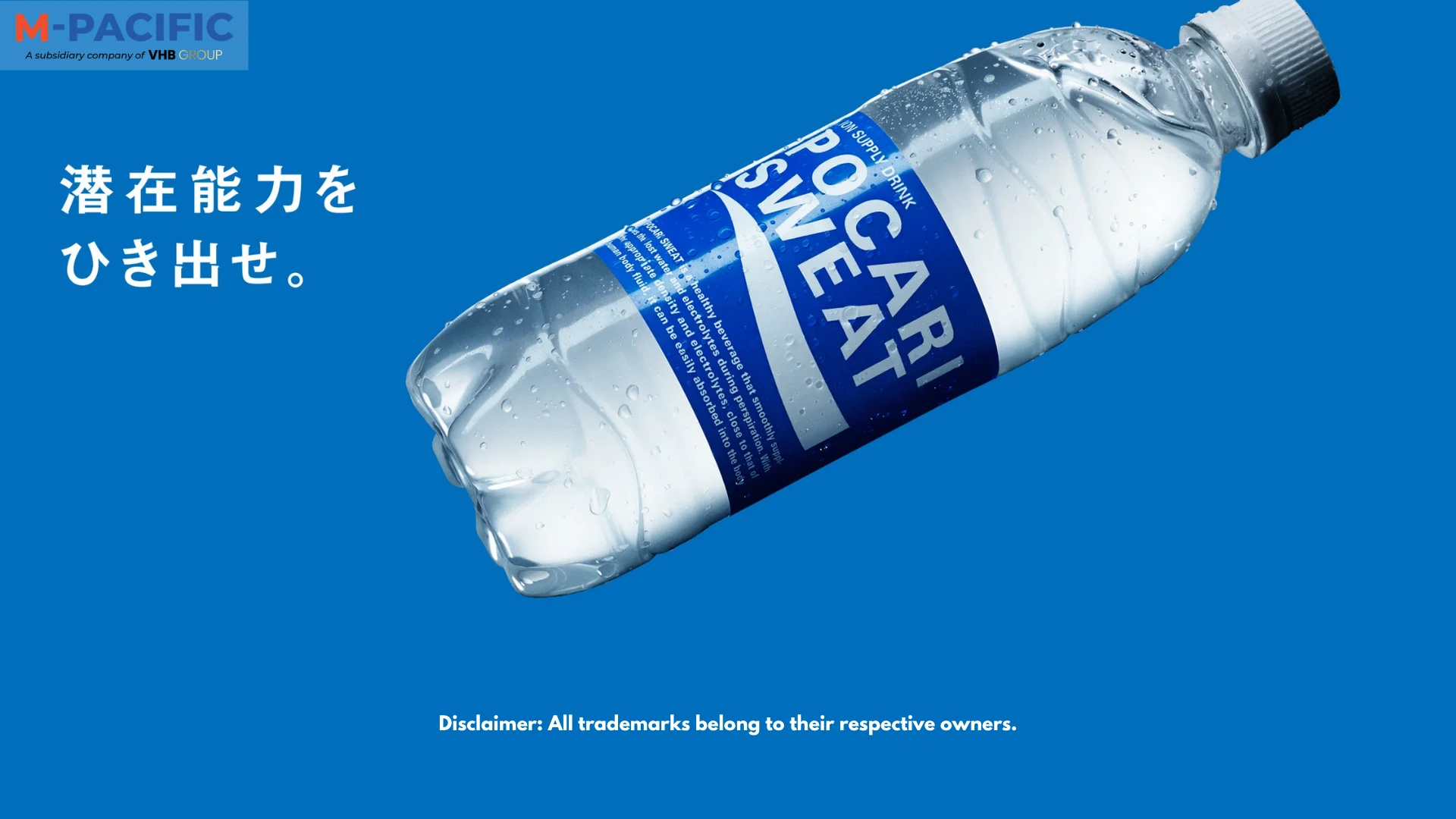 Japanese Pocari Sweat Drink Wholesale: Complete B2B Sourcing, Ocean Logistics, and Wholesale Blueprint